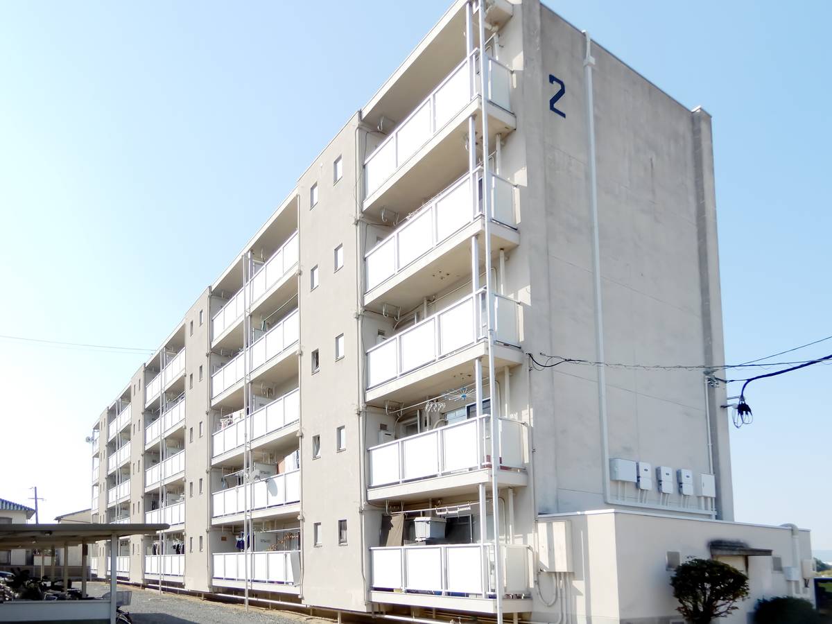  築54年4ヶ月 5階建の賃貸物件