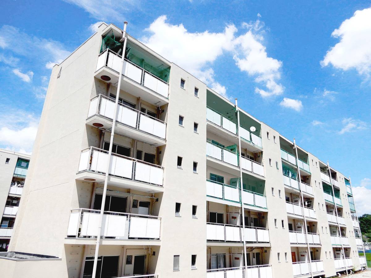  築53年6ヶ月 5階建の賃貸物件