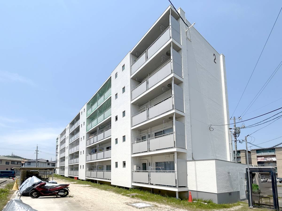  築50年10ヶ月 5階建の賃貸物件