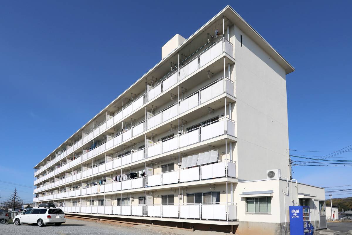  築47年2ヶ月 5階建の賃貸物件