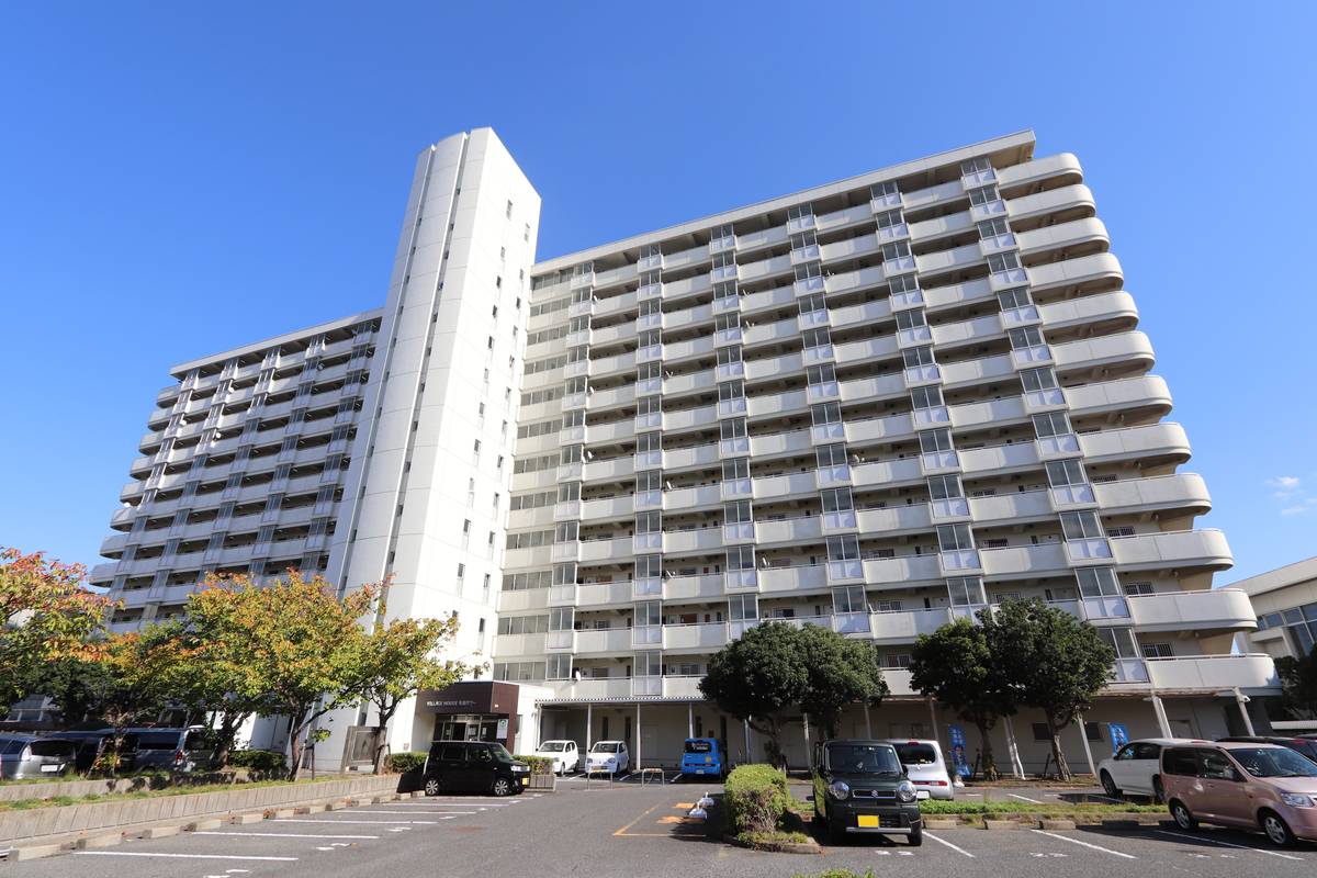  築39年1ヶ月 13階建の賃貸物件