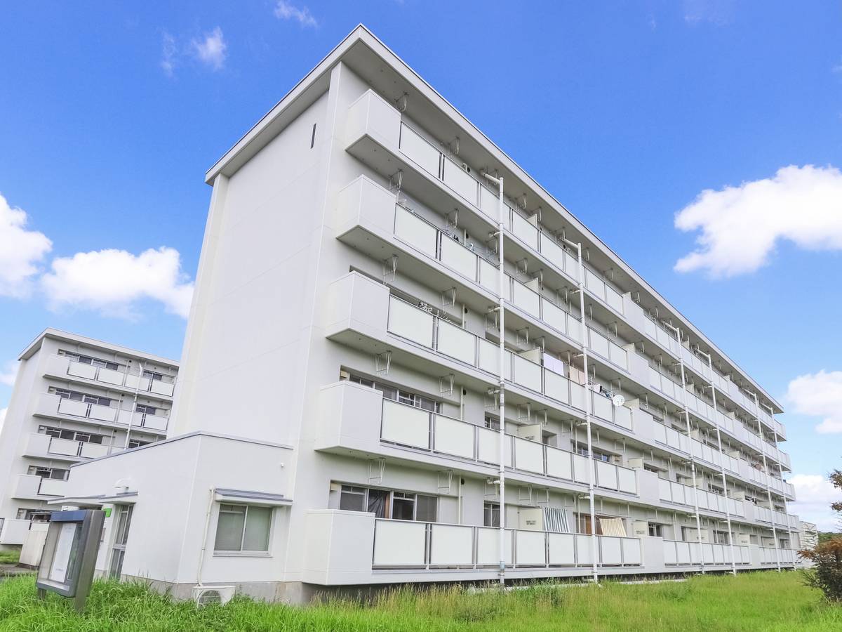  築33年7ヶ月 5階建の賃貸物件