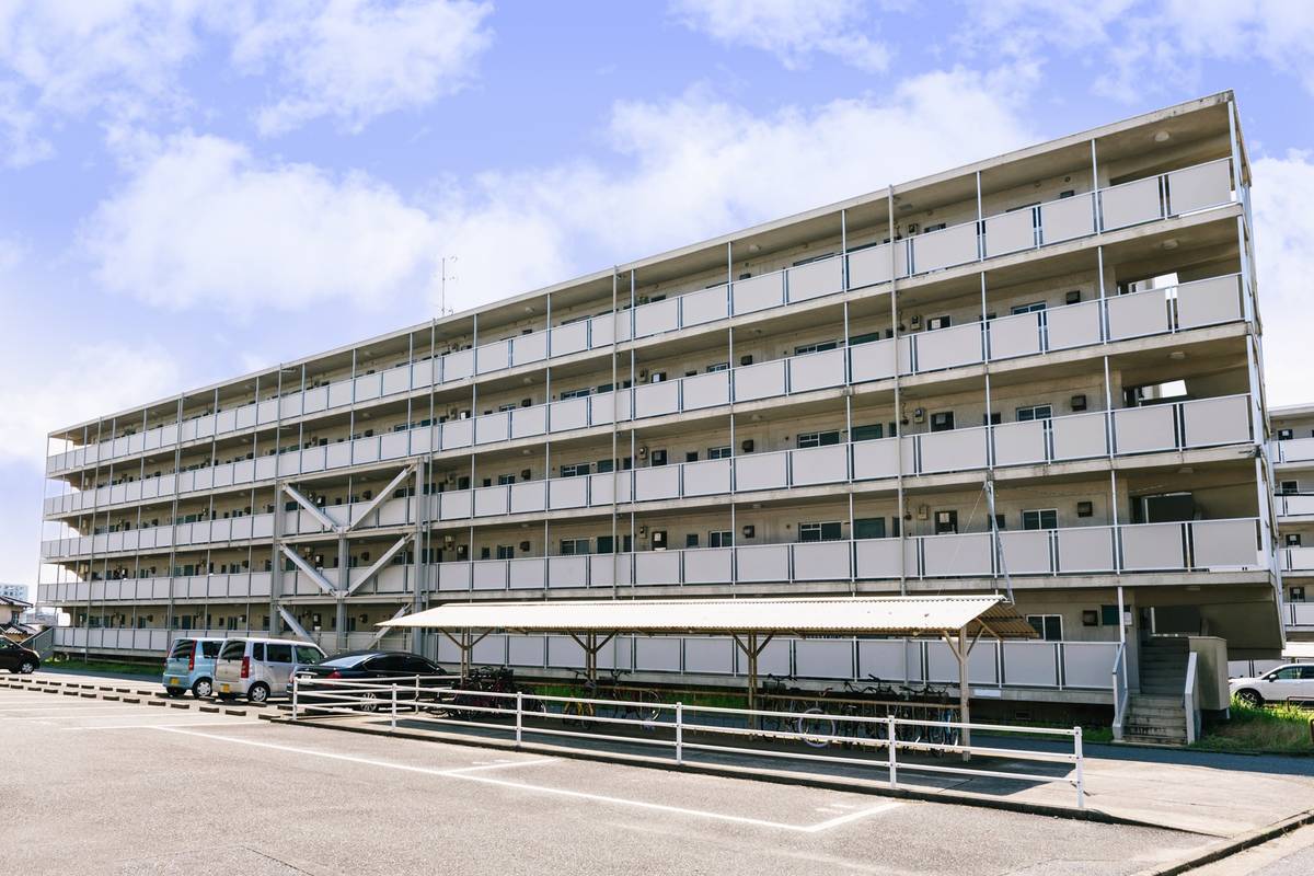  築56年3ヶ月 5階建の賃貸物件