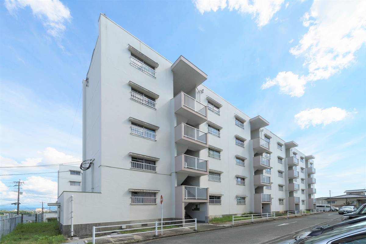  築53年5ヶ月 5階建の賃貸物件