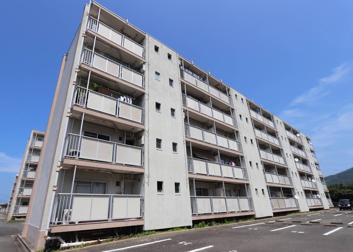  築53年6ヶ月 5階建の賃貸物件