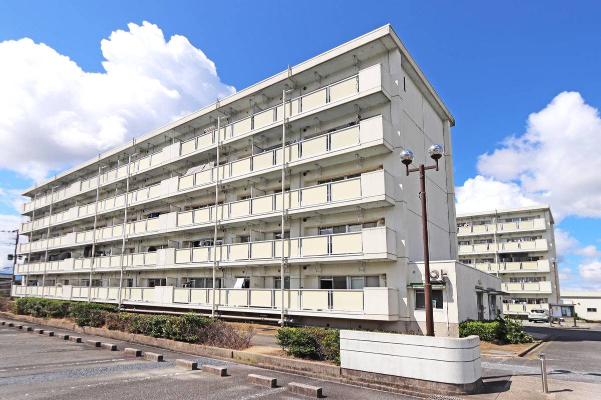  築33年8ヶ月 5階建の賃貸物件